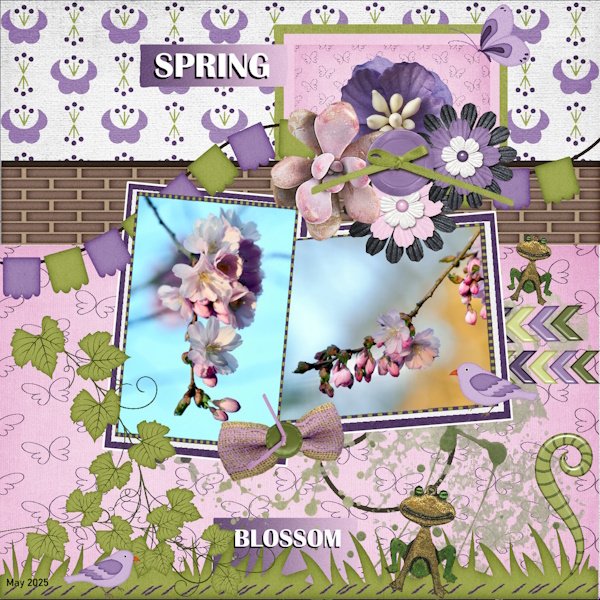 -19- May2025 Perfectly Paired Challenge -Spring blossom.jpg