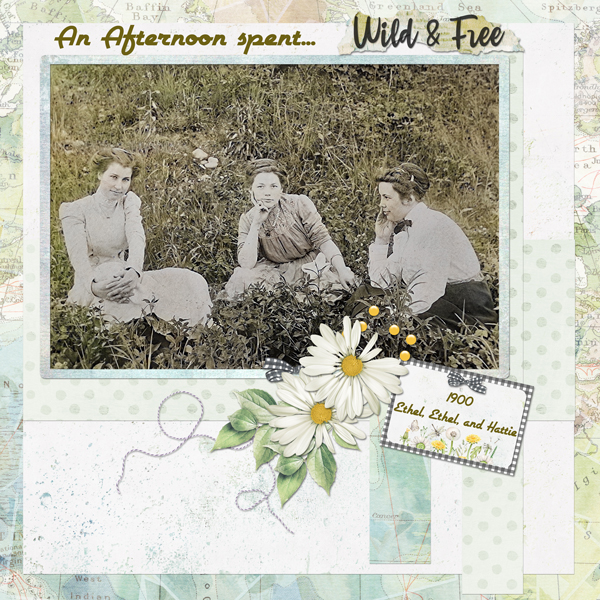 1900 Wild and Free Afternoon