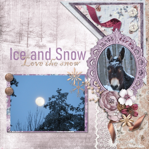 1_ads_cocoa_cuddles_Kit_Alexis_Design_Studio