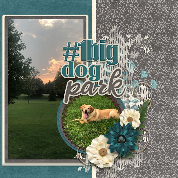 #1Big Dog Park