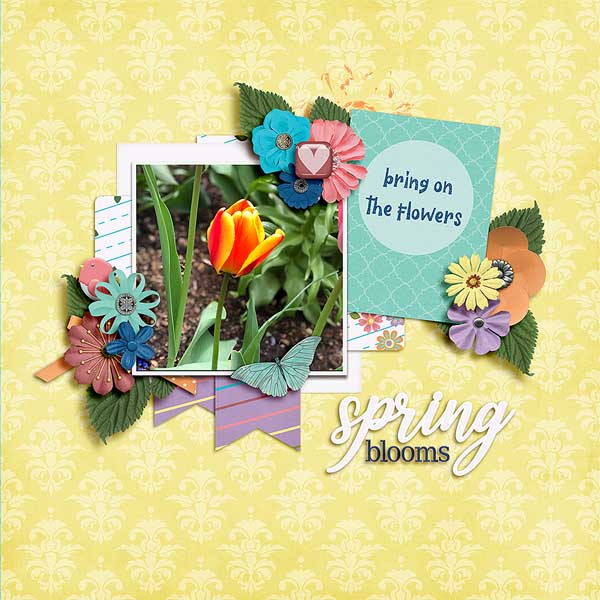 1springblooms