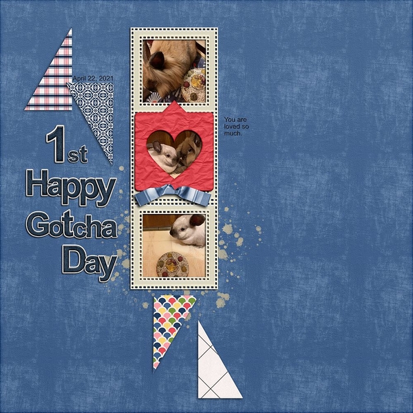 1st Happy Gotcha Day