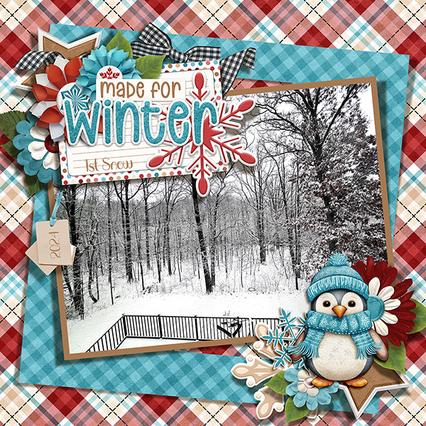 1st Snow 2024