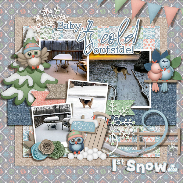 1st Snow of 2022