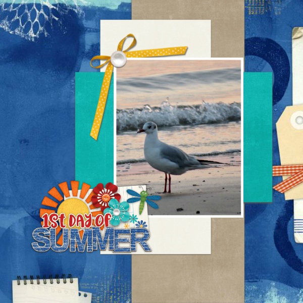 1st_day_of_summer