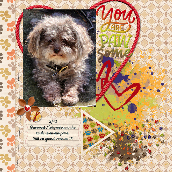 2/2023 Journaling Challenge - Pet