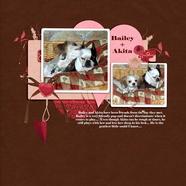 2-Bailey-and-Akita