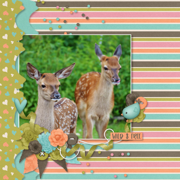 2 Deer