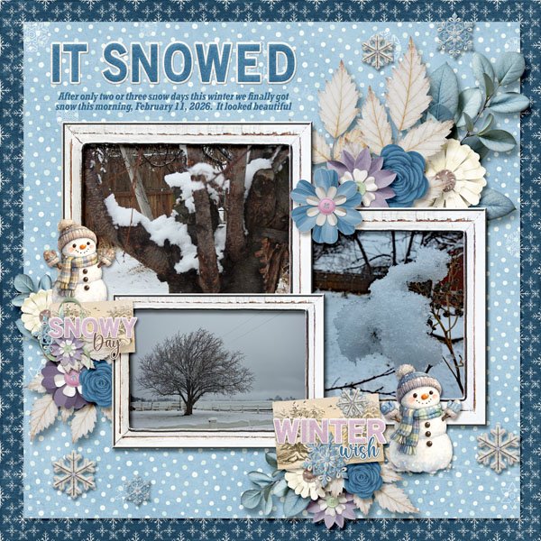 2-February 11, 2026 snow small.jpg