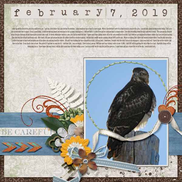 2-February_7_2019_small