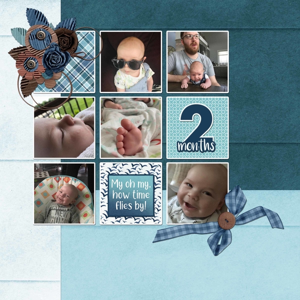 2 Months Old