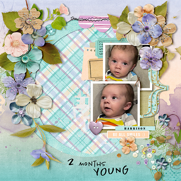 2 Months Young