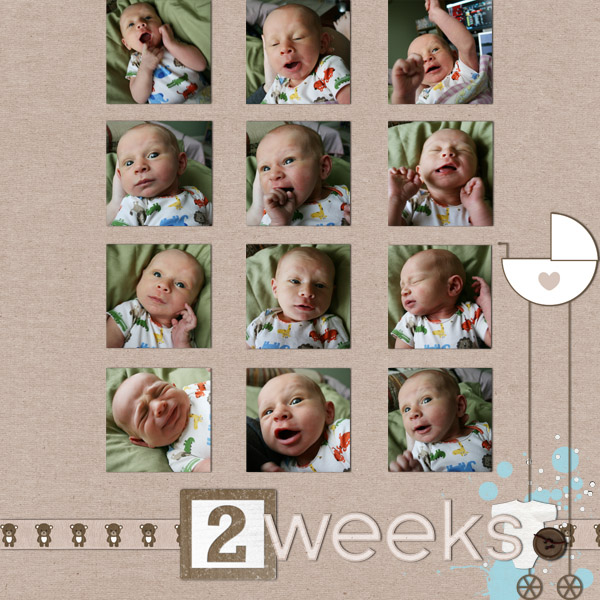 2 weeks