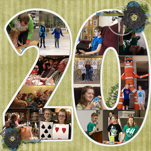 20 (part 1 of 2013)
