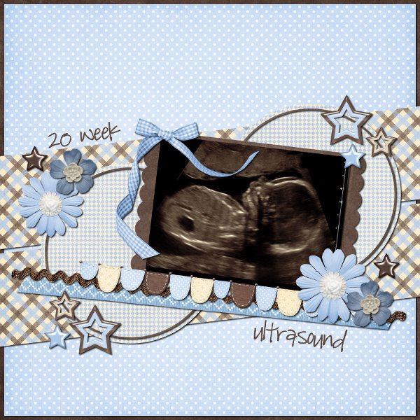 20 weeks