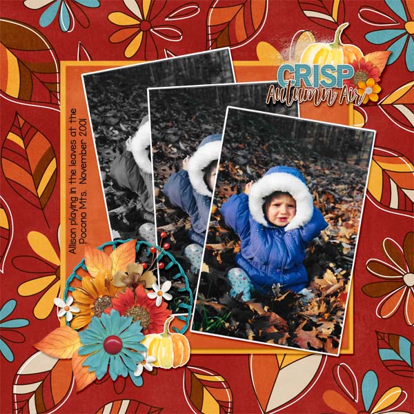 2001_november_Allison_leaves_web_cap_oct2018