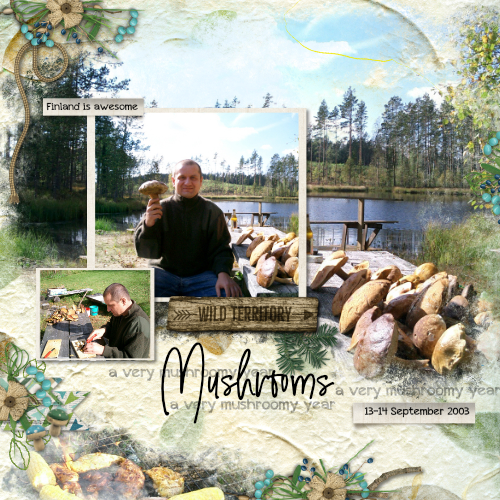 2003 Mushrooms L