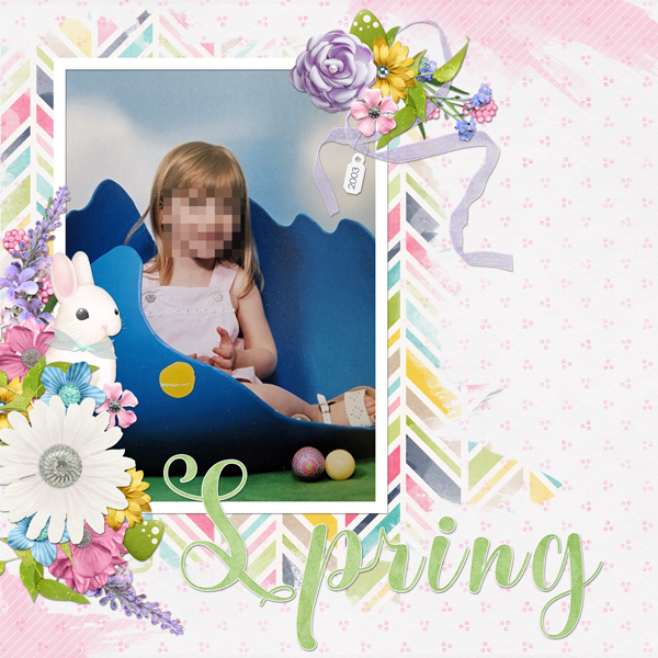 2003 Spring