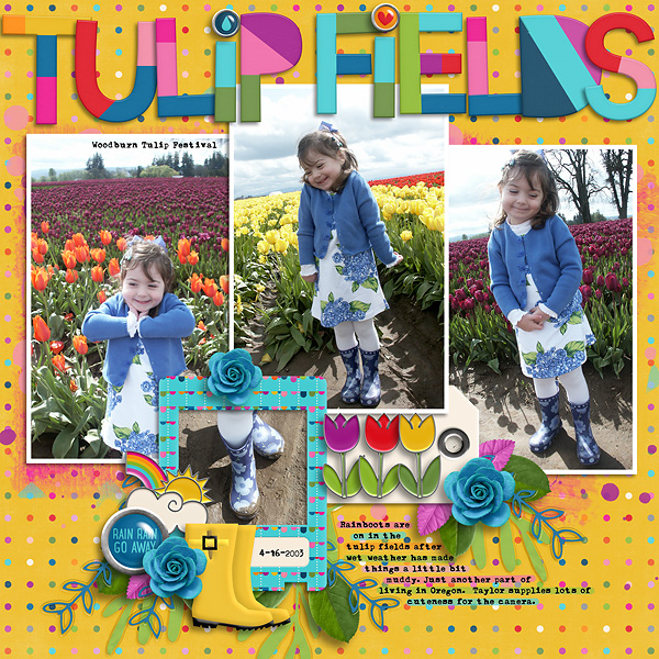 2003 Tulip Festival after the Rain