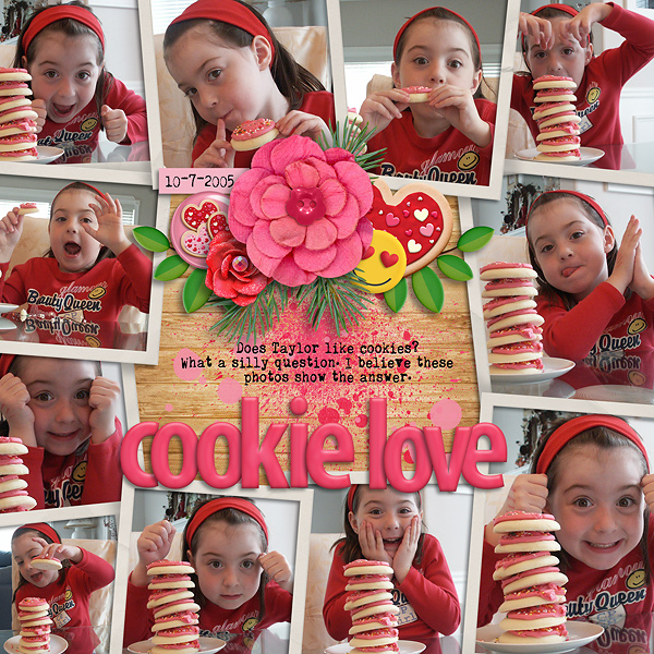 2005 icing cookie