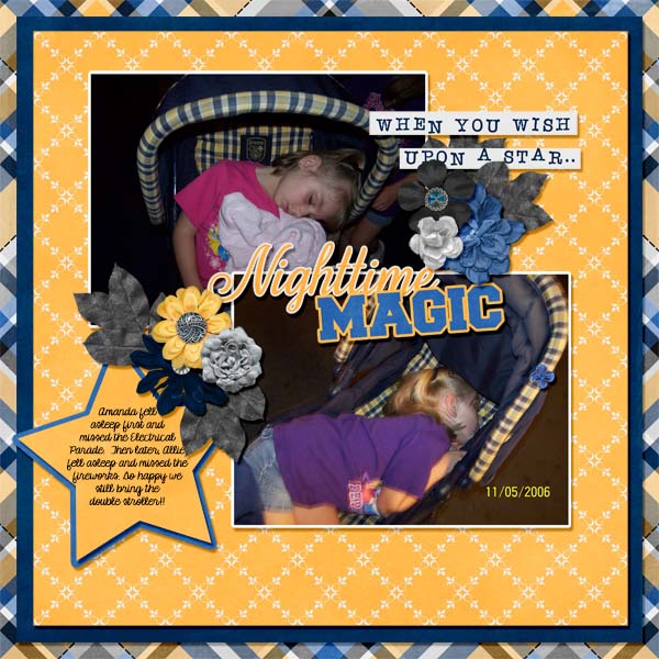 2006_nov_5_mk_sleeping_web_cap_moonlit