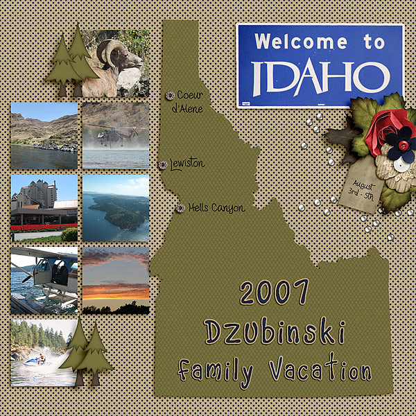 2007 Dzubinski Family Vacation Cover