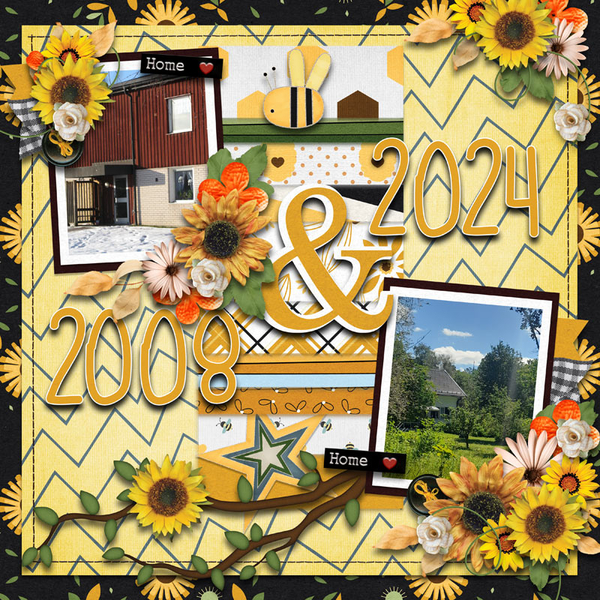 2008 + 2024