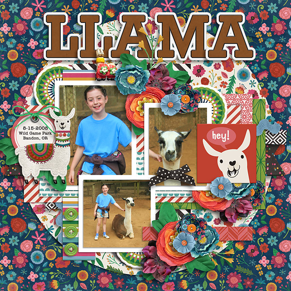 2008 Llama petting