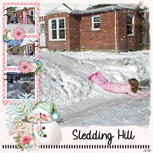2008 Sledding Hill