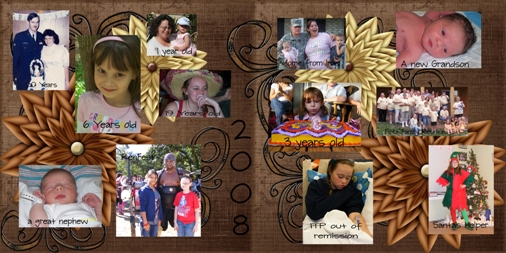2008 Year in review