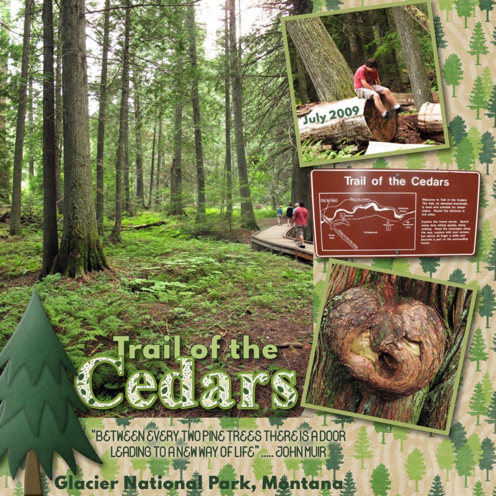 2009 07 27 Trail of the Cedars 450kb.jpg