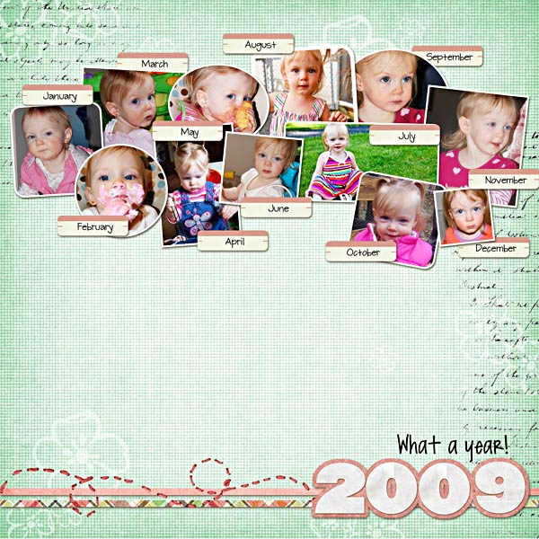2009 in review