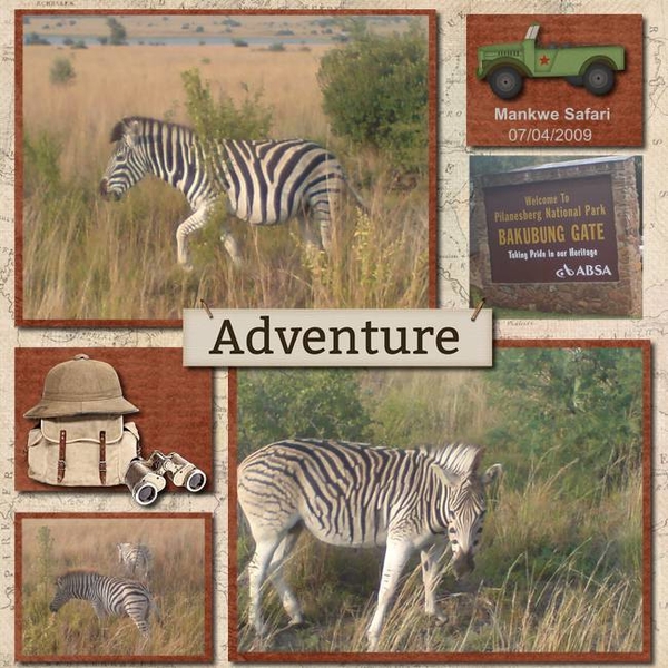 2009 Zebra Adventure