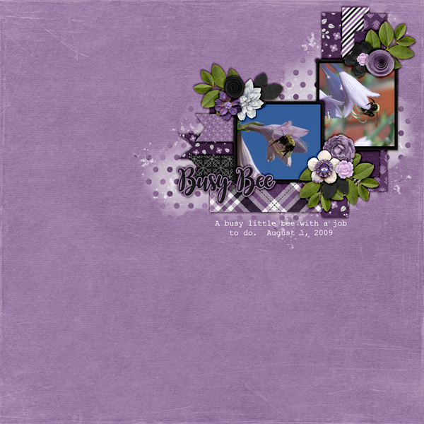 2009_aug_1_bees_cap_pc_purple