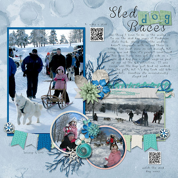 2010-1_sled_dog_races