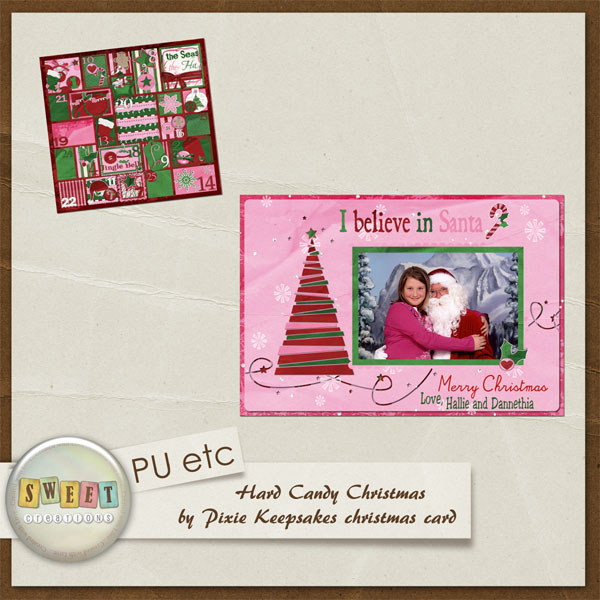 2010 Christmas Card