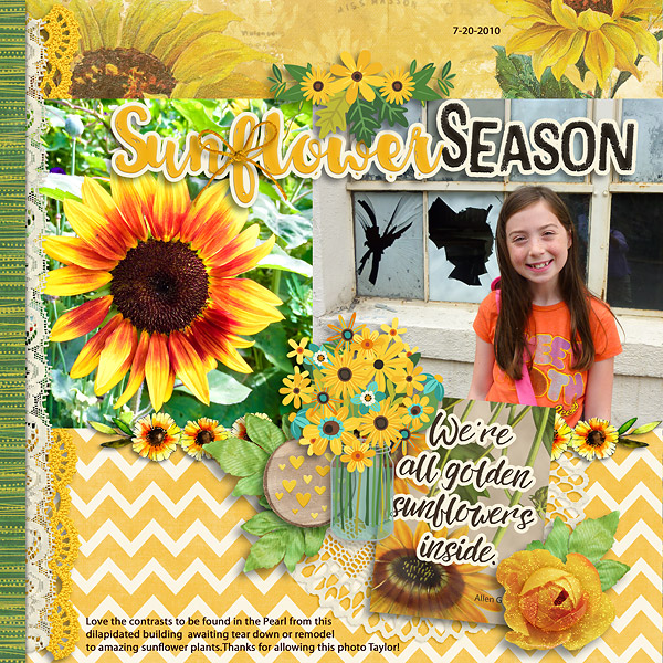 2010 Downtown Sunflowers