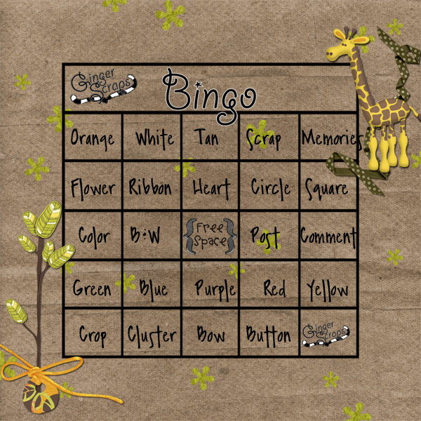 2010 DSD Bingo
