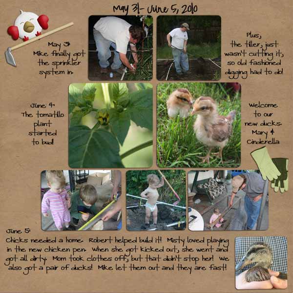 2010 Garden- Week 4