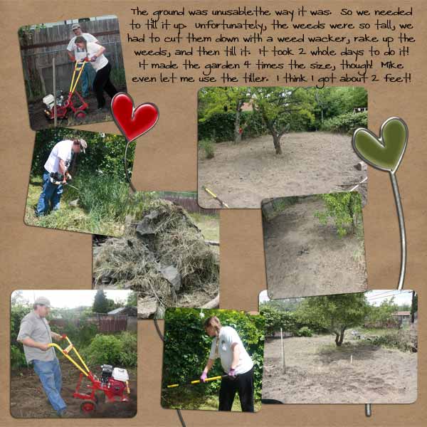2010 Garden- Week 5