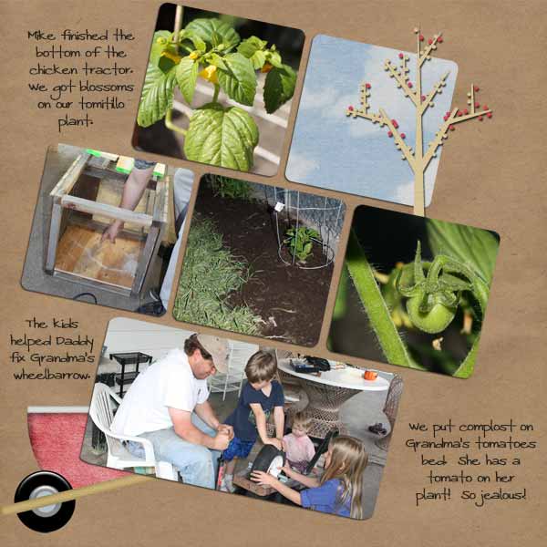 2010 Garden- Week 6
