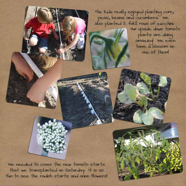 2010 Garden- Week 7