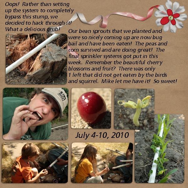 2010 Garden- Week 9