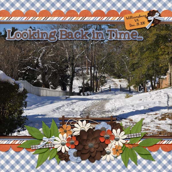 2010_december_28_williamsburg_web_cap_wild_frontier