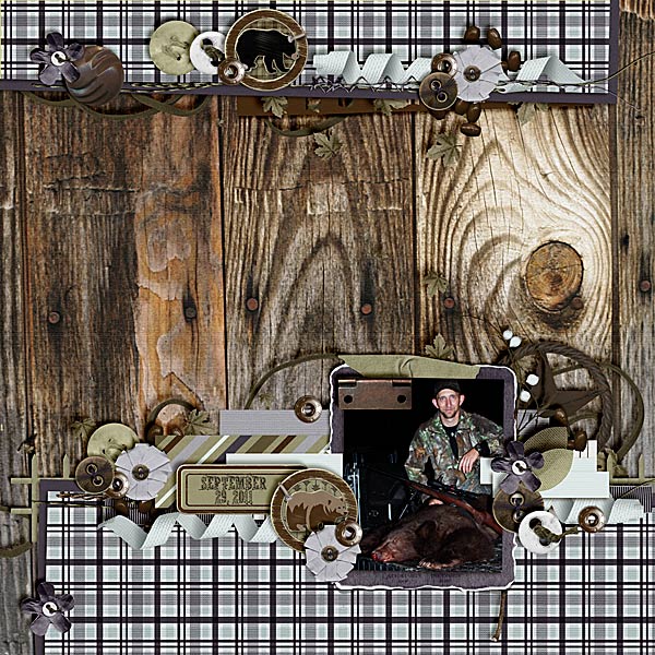 2011 Bear