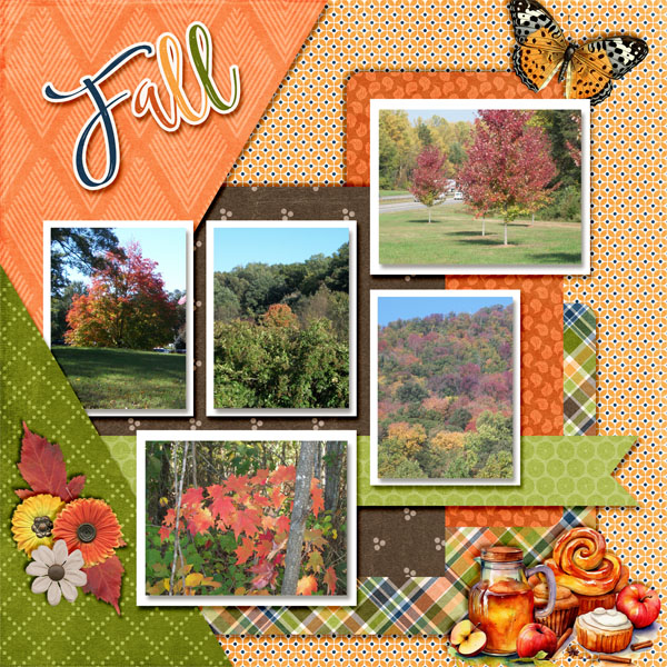 2011 Fall
