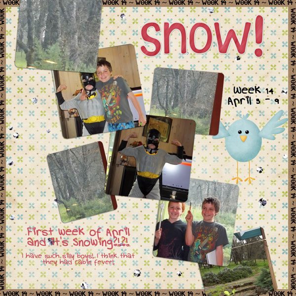 2011 Project 52-Week 14