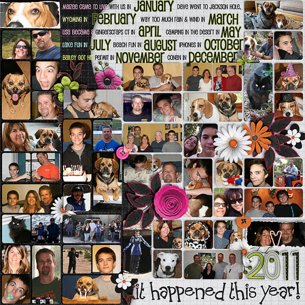 2011 - this year