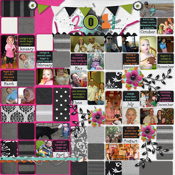 2011 Year in Review