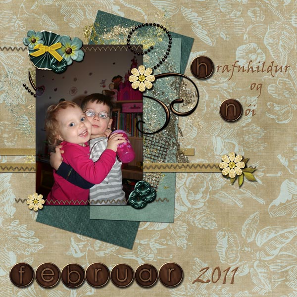 2011_02_HogN
